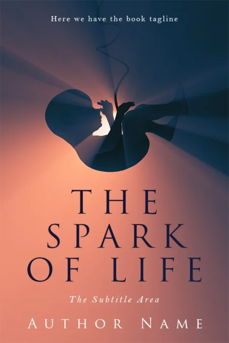 A book cover design featuring a silhouette of a fetus illuminated by a soft light, symbolizing the beginning of life and the spark of creation.